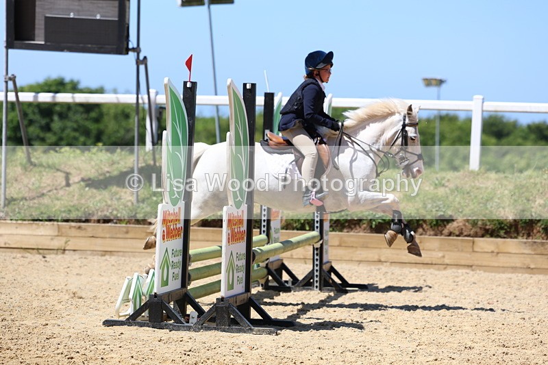 3E7A2344 - Class 4/5: 60cm Open Teams and Individuals