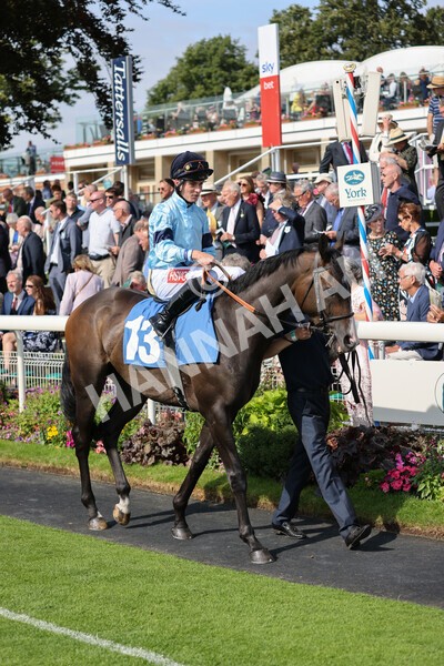 yr18082021r5-12 - Race 5 4.10pm Sky Bet Stakes