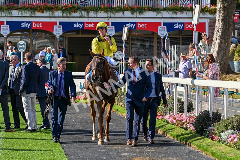 220826-Race 7-Raammee-1923 - Race 7 17.20pm Sky Bet Dav Reid Finale Handicap