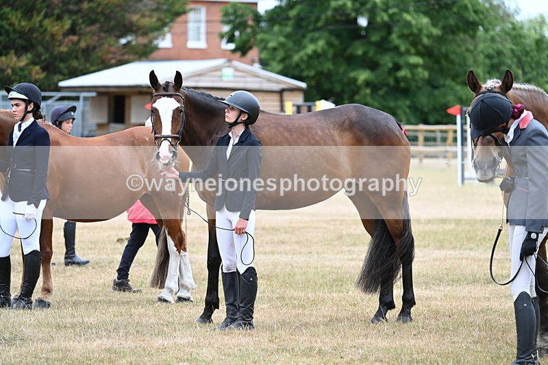 WJ7_9216 - Class 4a Prettiest Mare 14.2hh and over