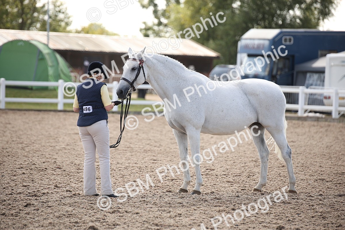 SBM_07094 - Class 25 IH Foreign Breeds- Pure bred