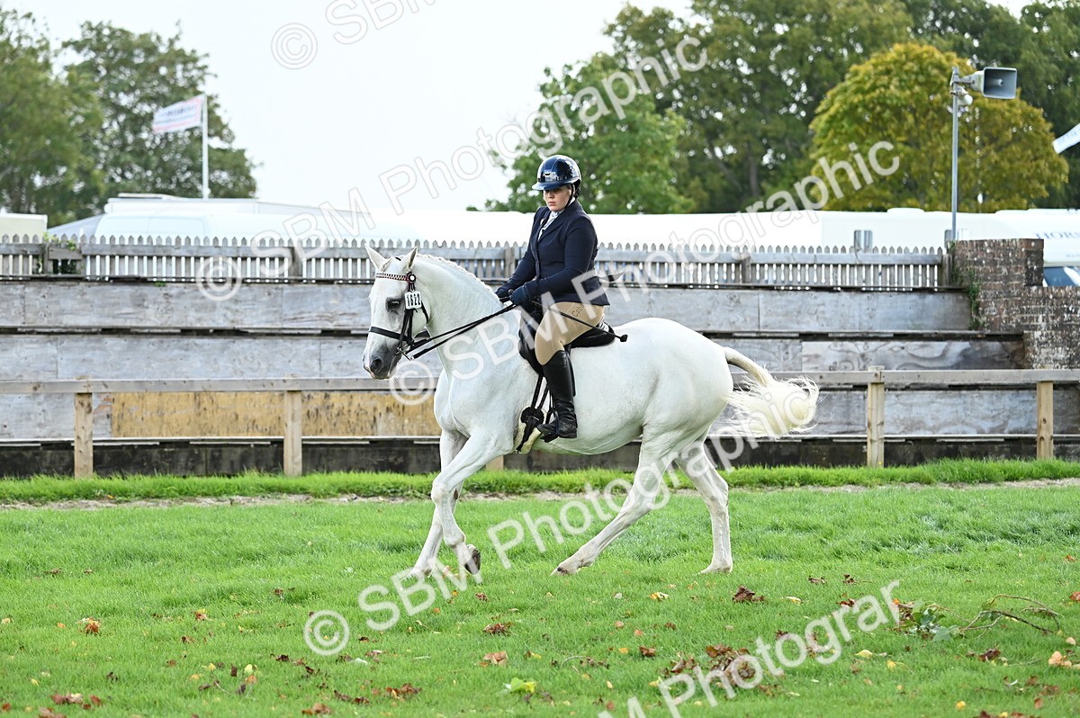 SBM_01687 - S2 - TSR Ridden Horse Showing