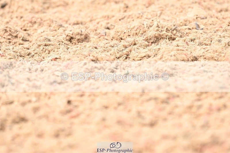 240621A-153858-04774 - Cls 13 BD Adv Medium 91