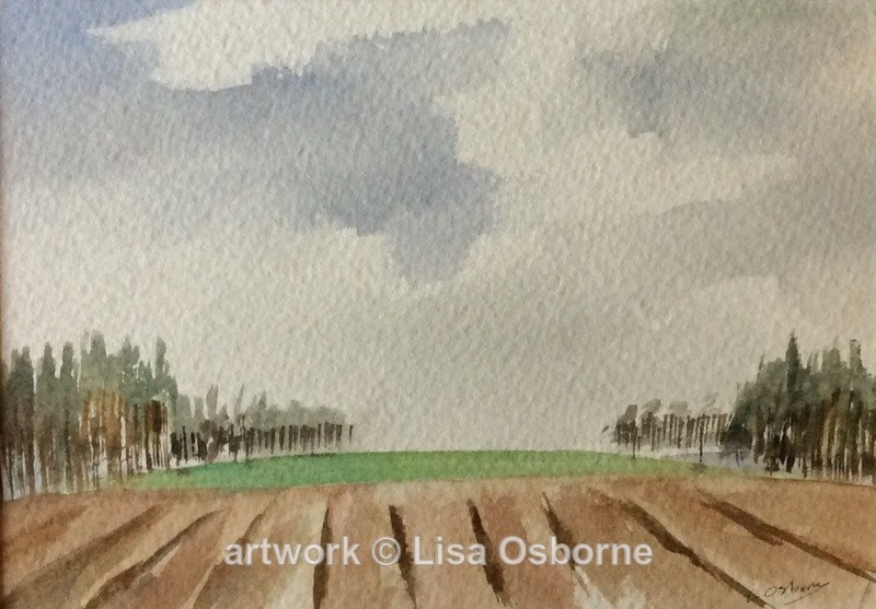 Arable fields, Suffolk - Seascapes/Landscapes