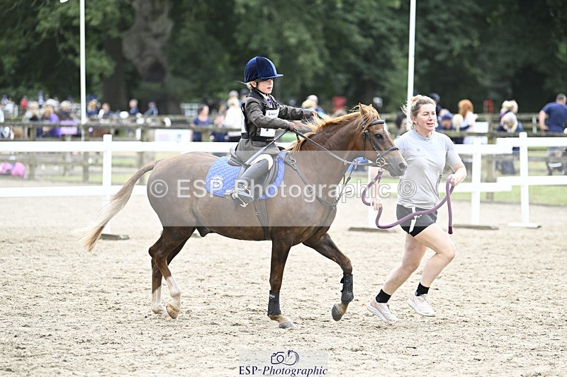 240822X-131252-07946 - 40cm LR R2 13.00 to 15.00