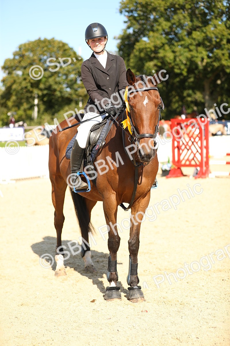 SBM_24390 - J45 - Accumulator 70 80cm