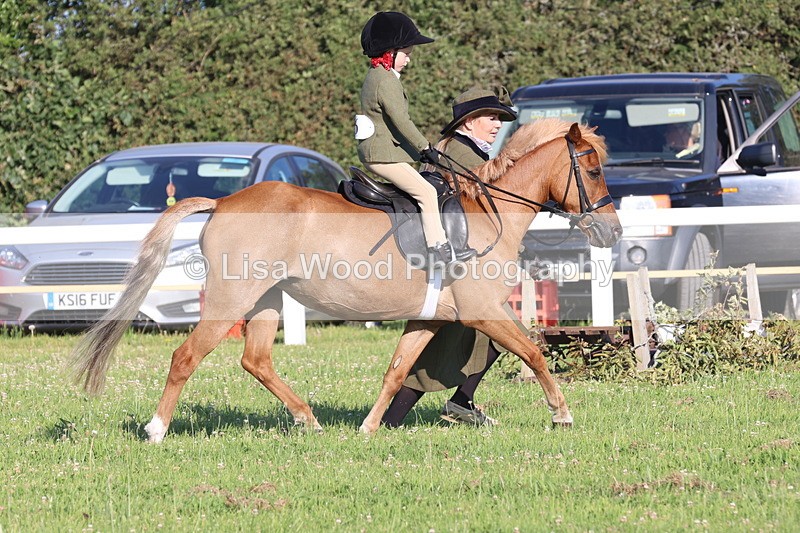 JPP_0766 - Class 16: Cornish Combination Leading Rein