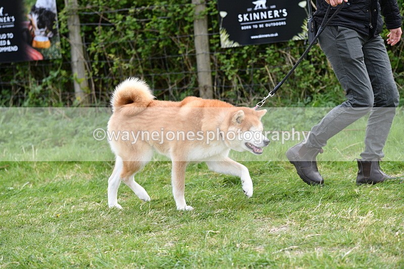 WJ5_9973 - Class 5 Best Veteran / 7 years & over