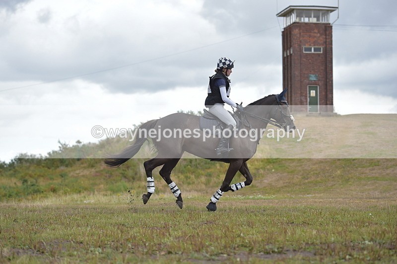 NGP_2310 - XC Time 11:20 to 11:36