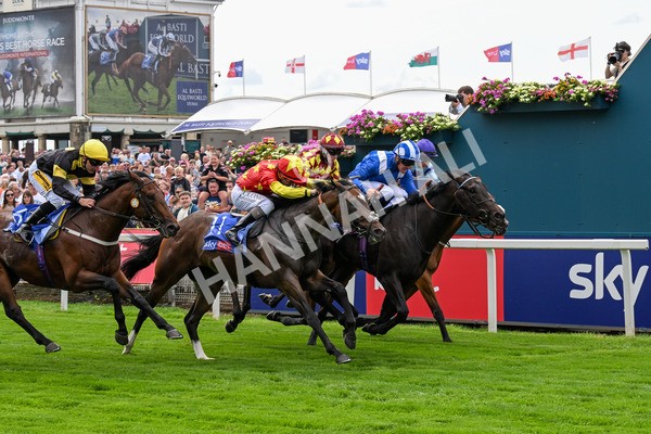 260725-Race 2-Elmonjed-0337 - Race 2 2.00pm Sky Bet Dash Handicap