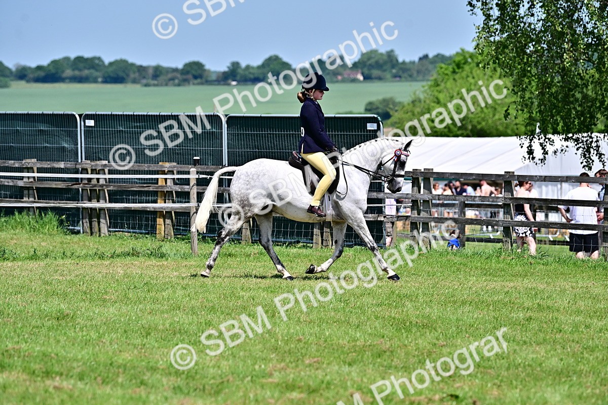 SBM_15372 - Class 95-97 - BSPS LHS Performance Ponies