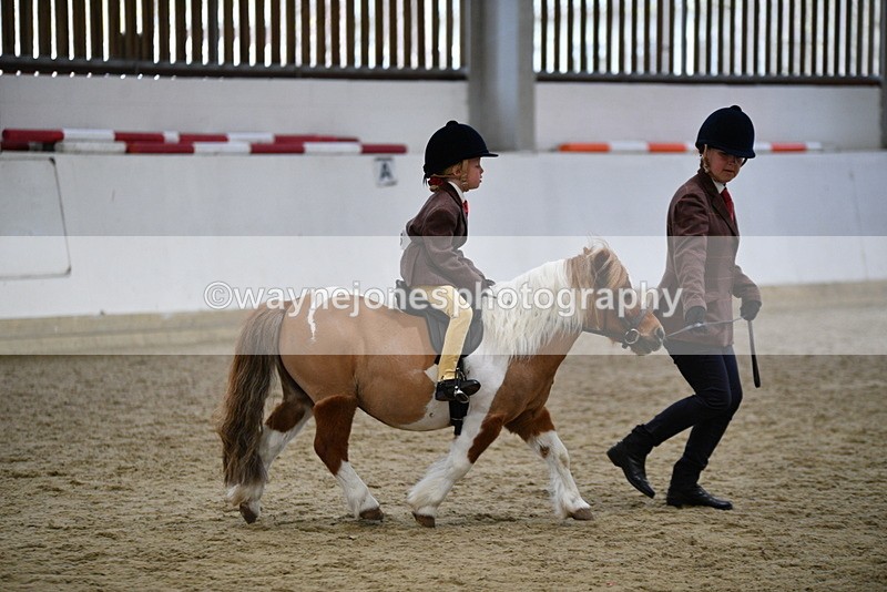 WJ5_6784 - Class 10 Childs Pony