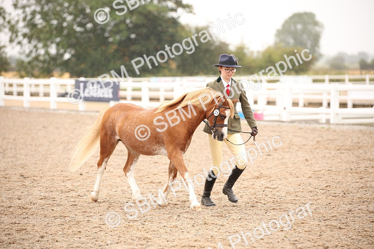 SBM_20211 - Class 703 - IH  Coloured