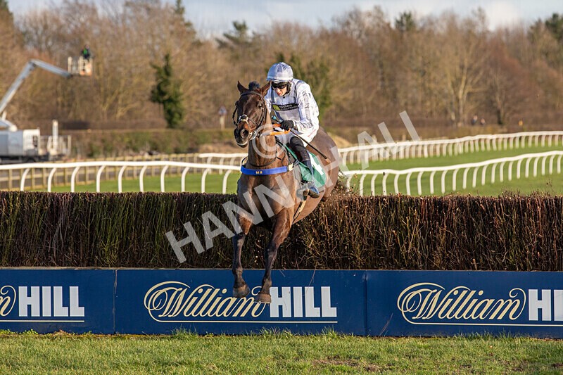 250225-Race 4-Master Breffni-6325 - Race 4