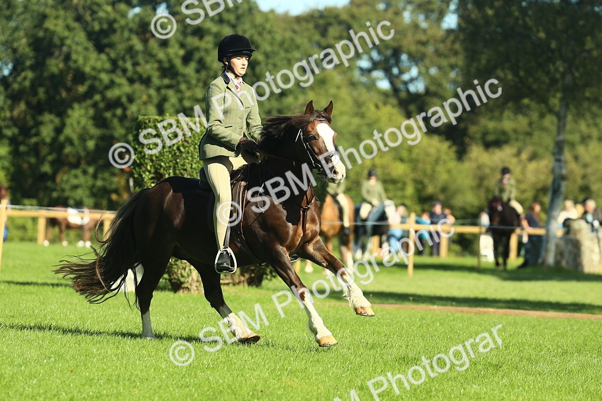 SBM_37456 - S29 - Novice & Newcomers Working Hunter Pony
