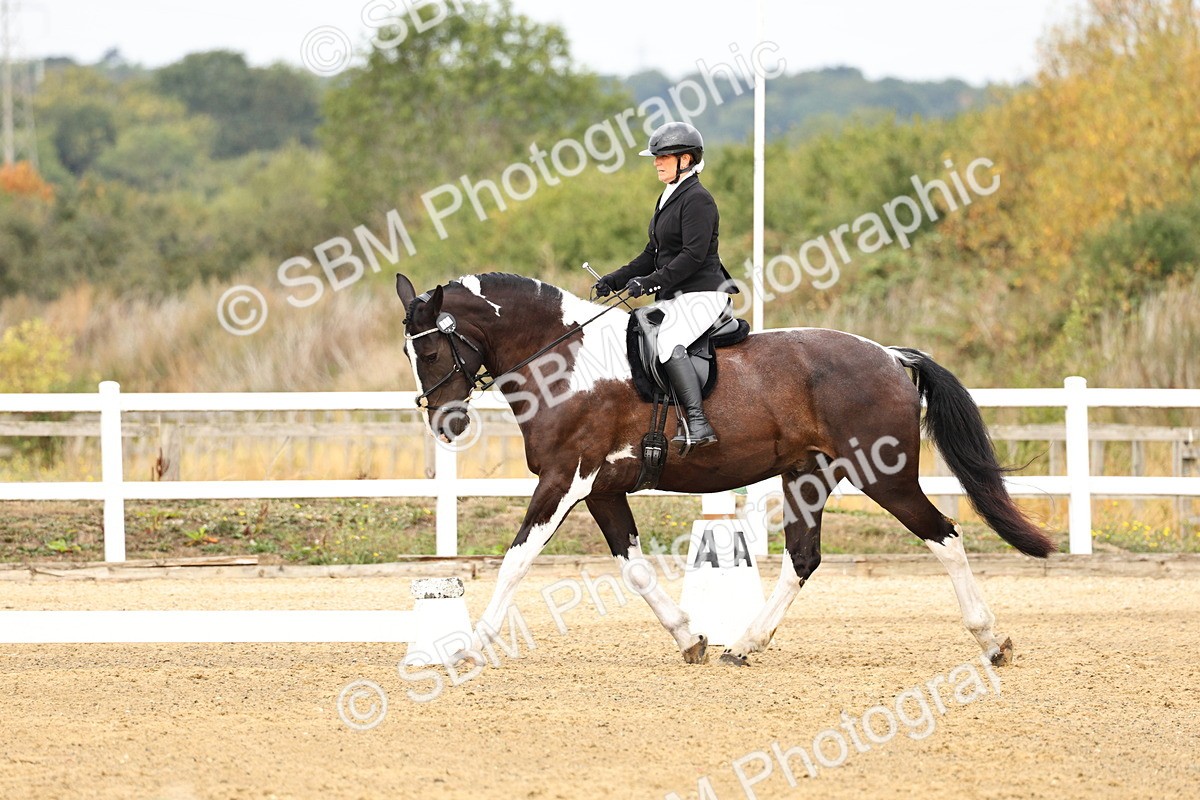 SBM_012217 - Class 2 - Prelim 5