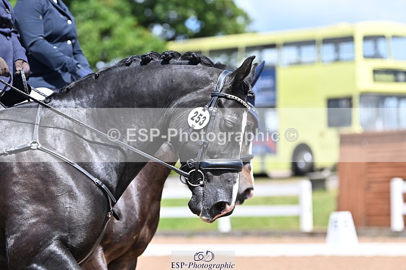 240706A-142213-03270 - Cls 7 Pairs