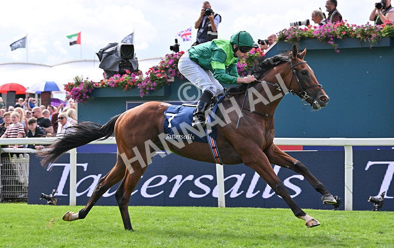 190826-049 Haffner - Race 2 14.25pm Tattersalls Acomb Stakes