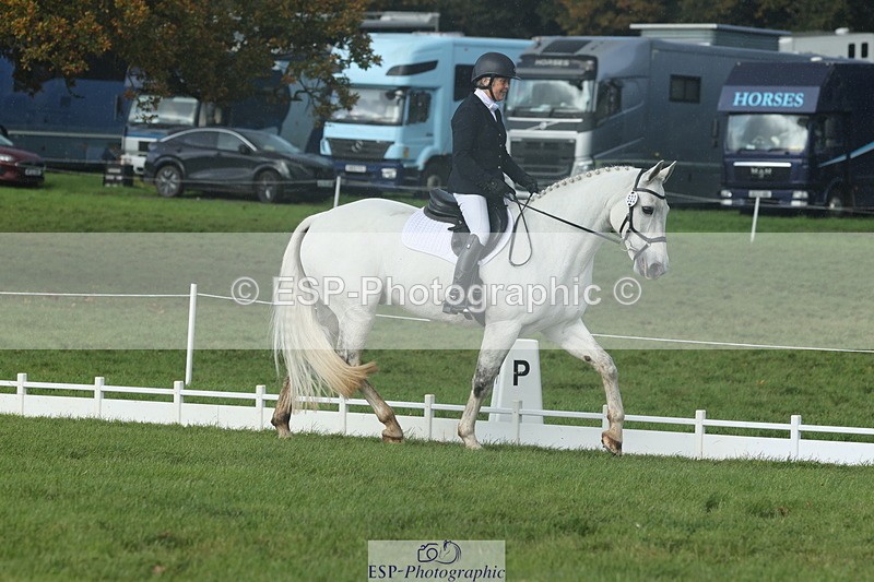 251023A-143643-04999 - G-522-Sue.Parkes Inc Trot Up