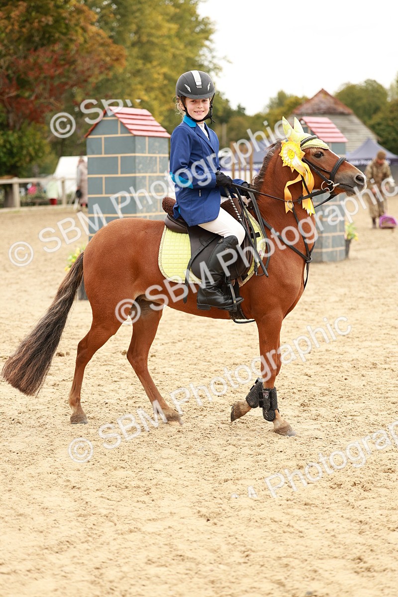 SBM_58113 - J11 - Junior Pony 50cm Championship
