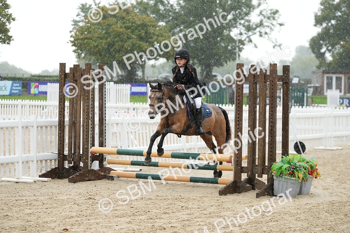 SBM_33502 - J5 - Junior Pony 50cm Championship