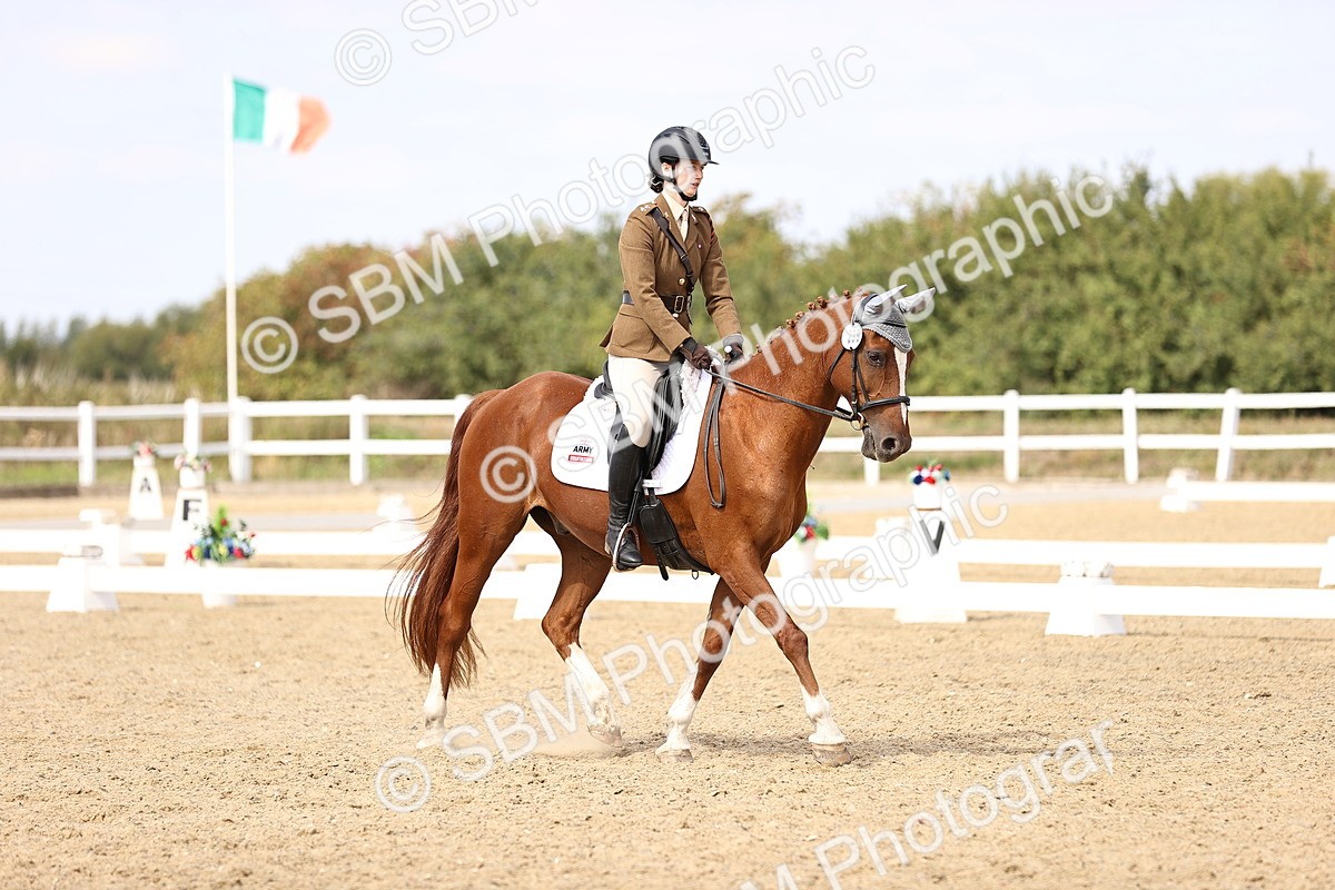 SBM_014966 - Class 6 - Elementary 5