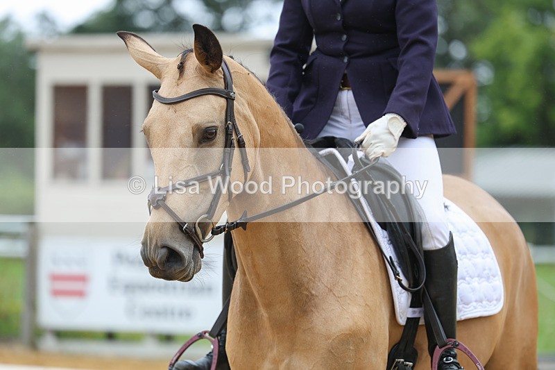 3E7A4838 - Class 1: Intro 4 2024 section A