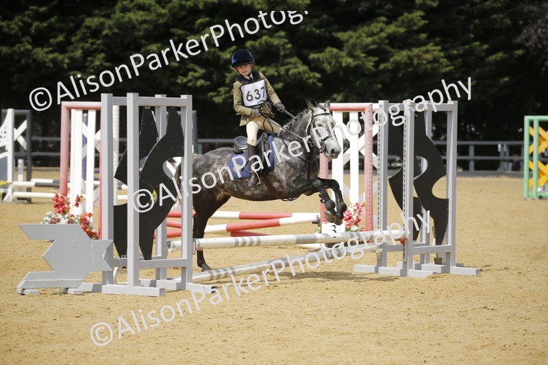 20250622-4021 - 50cm