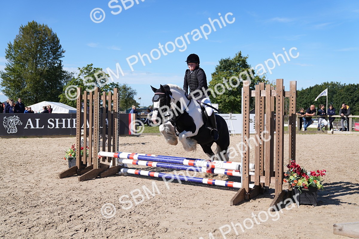 SBM_19485 - J57 - Clear Round 50cm