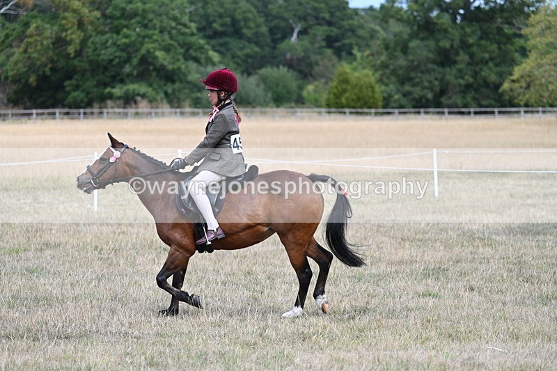 WJ7_5818 - Class 13 Ridden Veterans