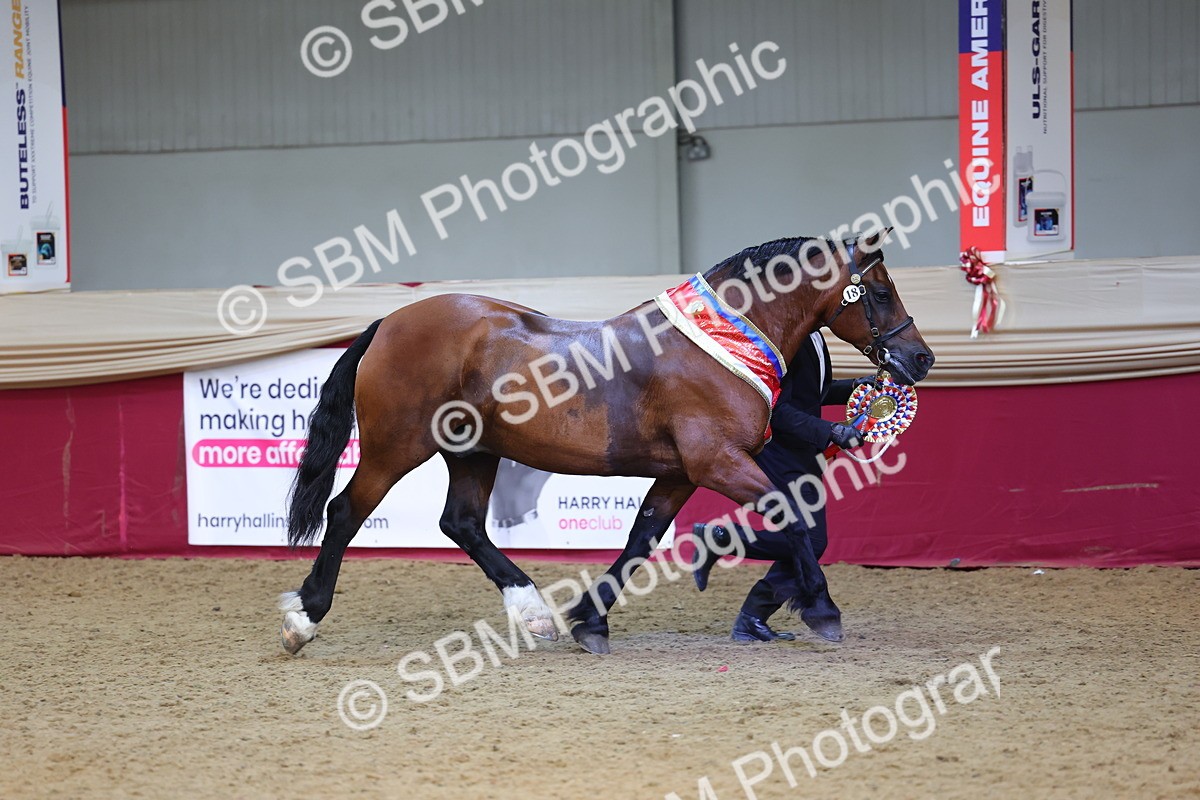 SBM_25024 - Grand Supreme Final Overall Champion