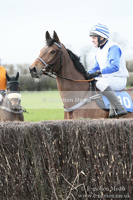 PtP 230319 215 - VWH Hunt Siddington Point-to-Point Racing 23/03/19