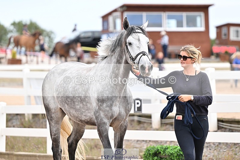 250716-155542-02291 - Trot Up 3.30 to 4.30