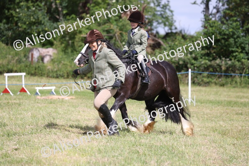 20260614-0625 - Class 20 - Beginners Working Hunter Pony