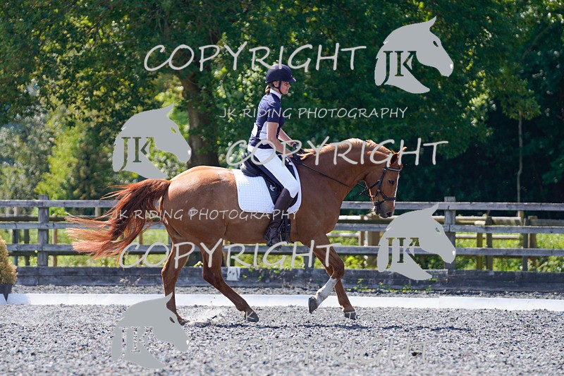 _DSC4221 - ELEM 1