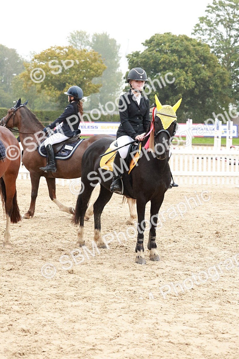 SBM_73604 - Supreme Championship Junior Pony 60cm & 65cm