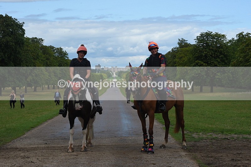 TT3_0256 - Time at Crossing 13:17 to 14:48