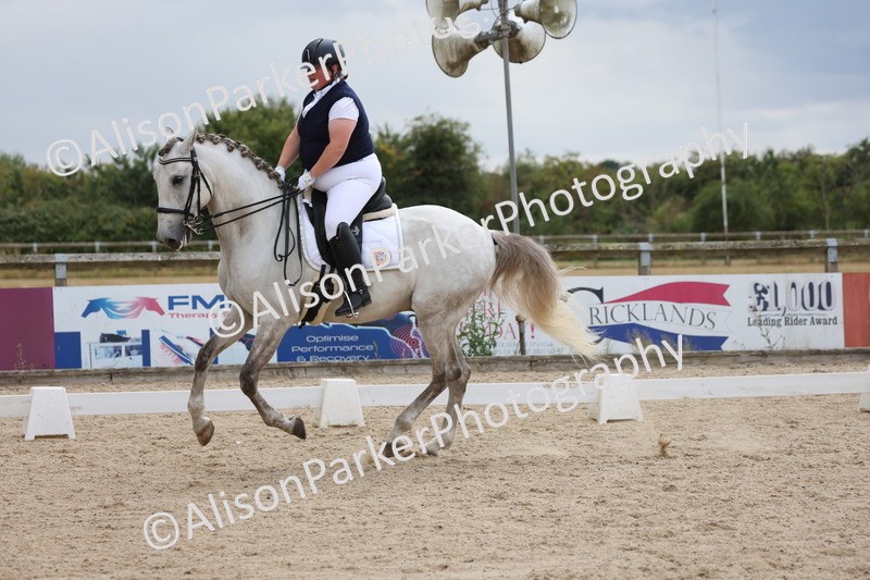 20250706-0457 - Class 17 - Elementary 5