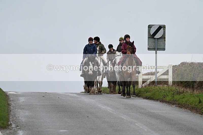 WJ7_8853 - Berks & Bucks - Rowles Farm 15-02-26