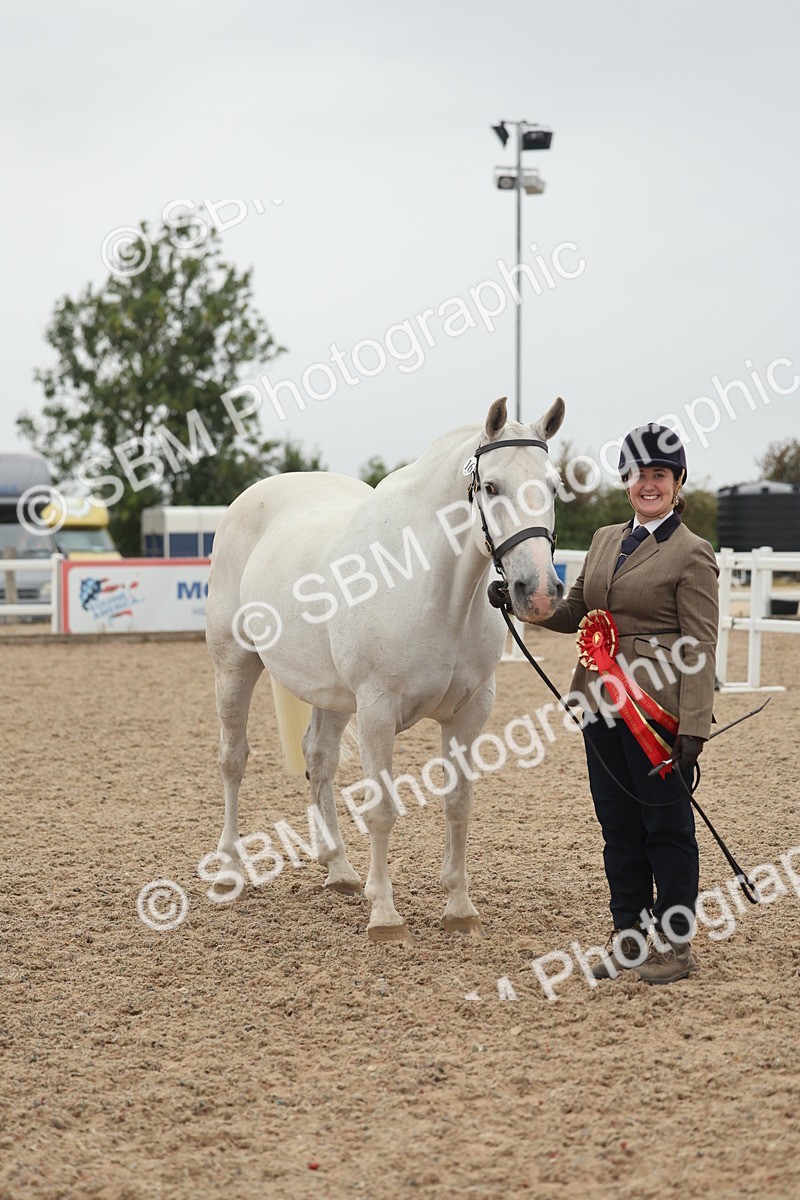 SBM_19457 - Class 317 - IH Pure Bred Horse-Pony