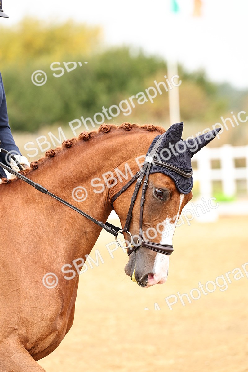 SBM_012304 - Class 2 - Prelim 5