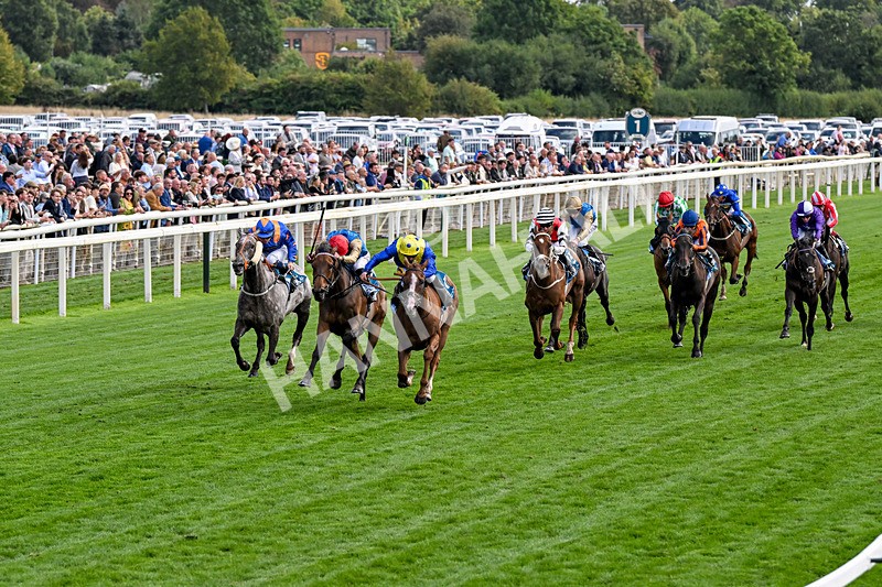 210826-Race 5-Plage De Havre-0276 - Race 5 16.10pm Assured Data Protection Handicap