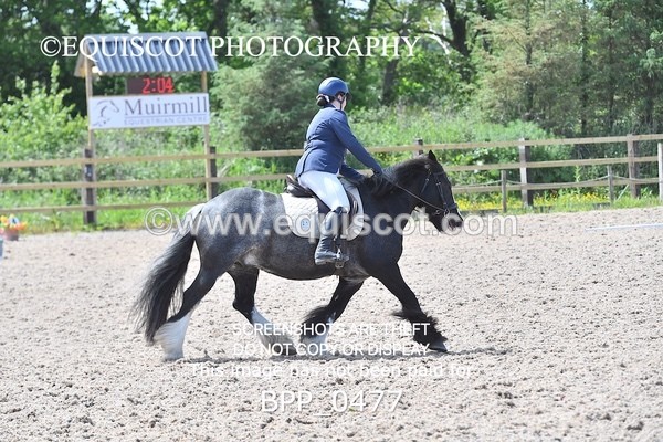 BPP_0477 - MFS NOVICE