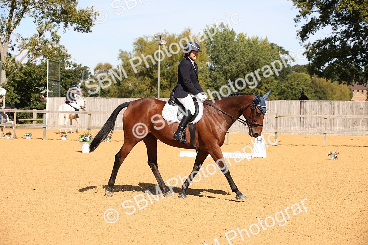 SBM_21679 - D5 - Small Tour Championship - Intro C