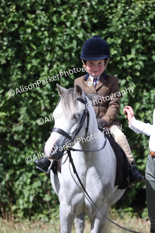 20250831-2717 - Class 17 - Lead Rein Pony