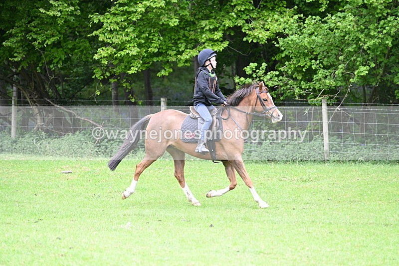 WJ7_2719 - Group 9 A&B Cameras