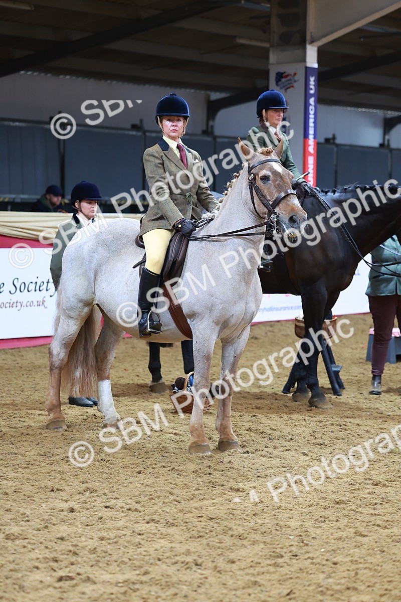 SBM_07729 - Class 101 - HOYS Veteran Qualifier - Ridden Diamond