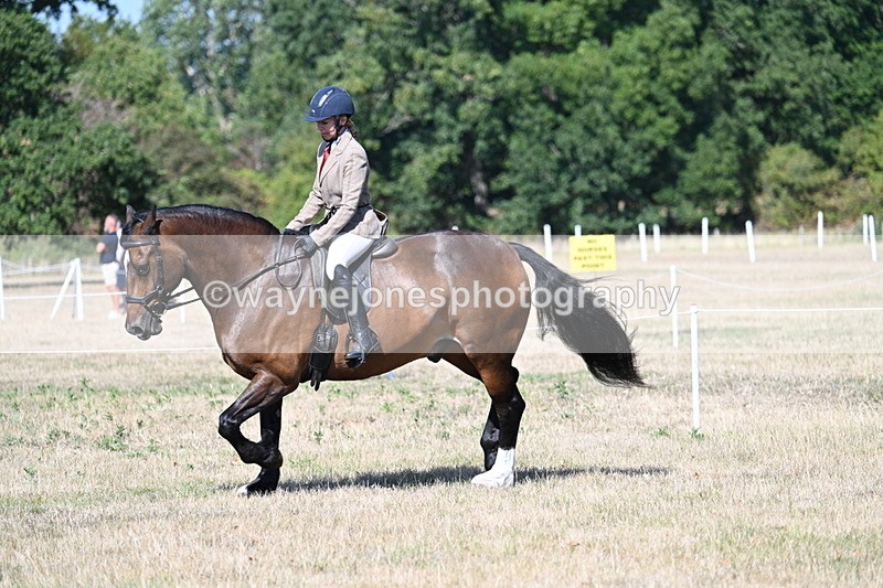 WJ7_3927 - Class 9 Mountain & Moorland Ridden