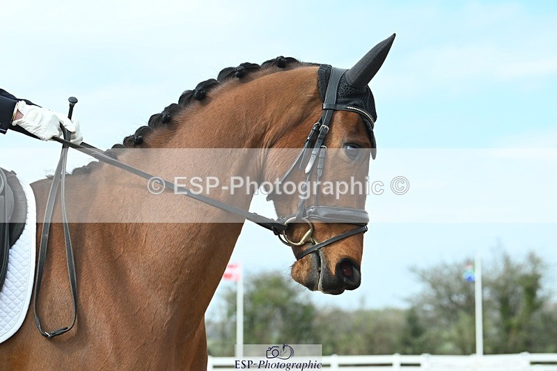 250403-103139-01426 - 036-Abbie.Newbury-Seagry.Viceroy