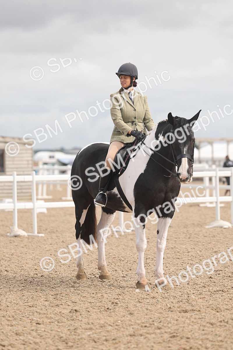 SBM_04531 - Class 19 - Horse/Pony Judge would most like to take home